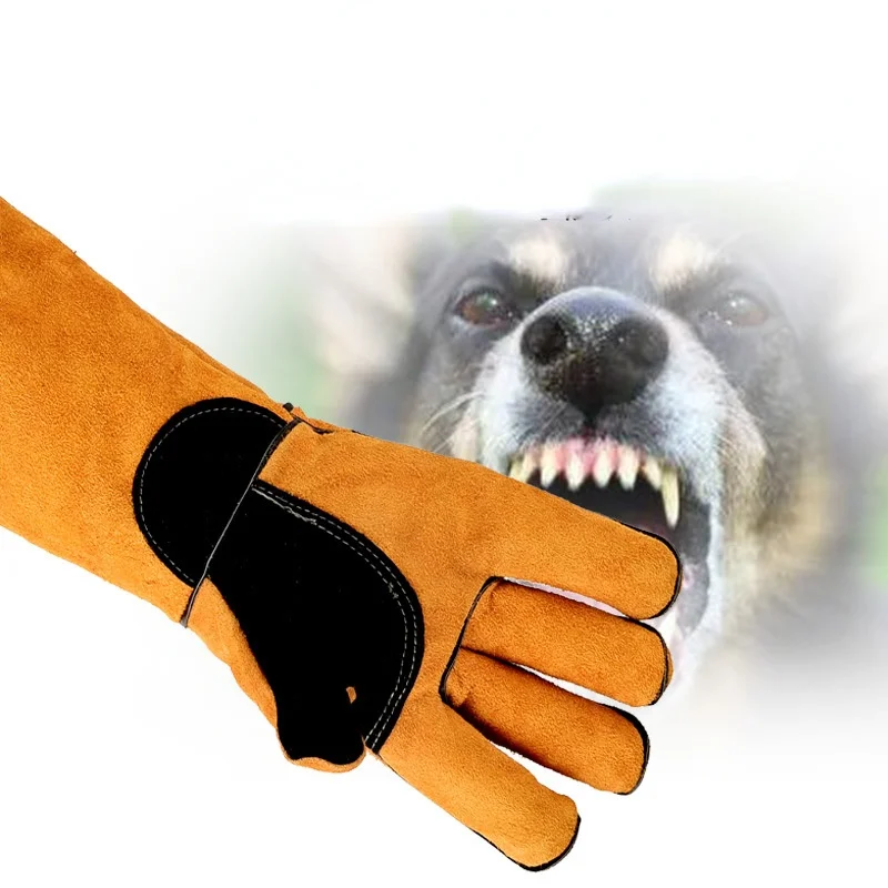Guanti per animali domestici P - Leatherwork Training recensione e prezzo