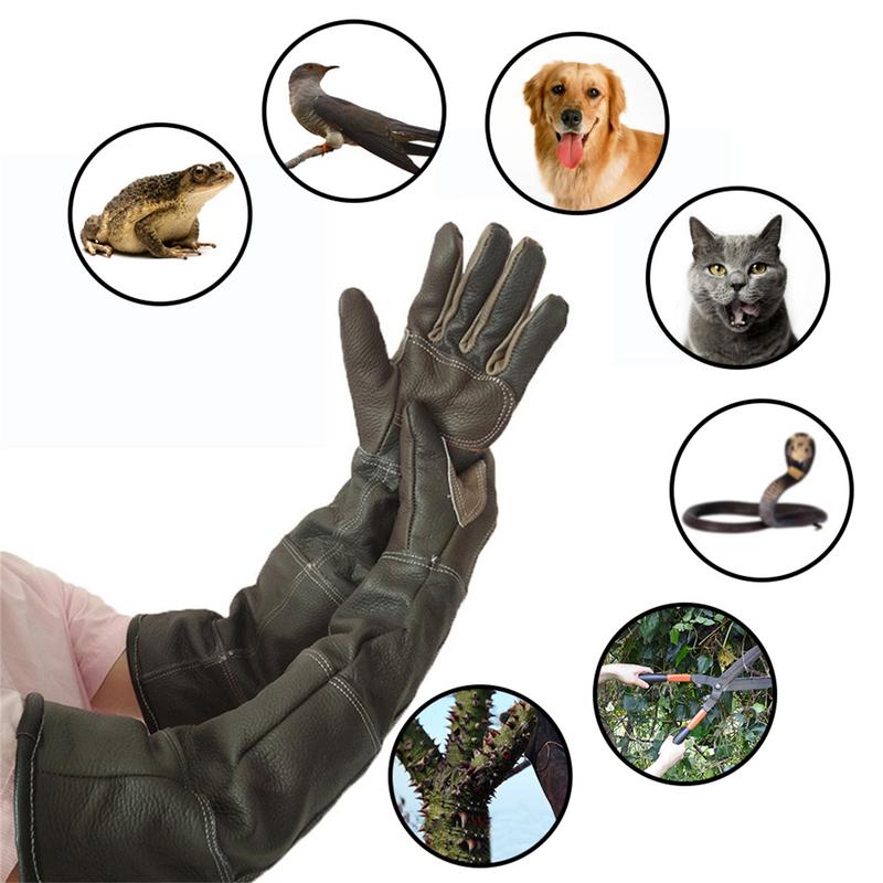 Guanti per animali domestici G - Leatherwork Training recensione e prezzo