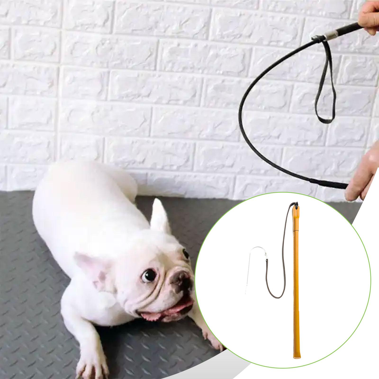 Frusta per Addestramento Cani  - Leatherwork Training recensione e prezzo