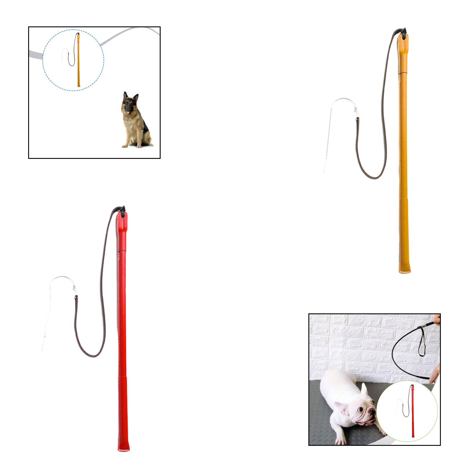 Frusta per Addestramento Cani  - Leatherwork Training recensione e prezzo